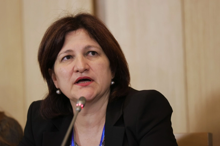 Економијата продолжува да расте и покрај политичката нестабилност, изјави Мила Ненова, извршен директор на Бугарската агенција за инвестиции