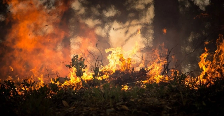 Голем шумски пожар северно од Лос Анџелес, издадена наредба за евакуација