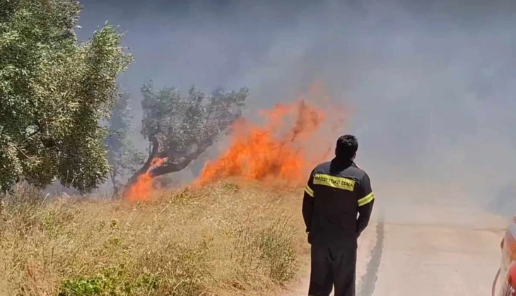 Голем пожар во источниот дел на областа Атика, поширокиот регион на Атина