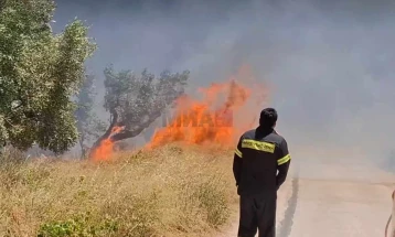 Zjarr i madh në pjesën lindore të zonës së Atikës, rajonit më të gjerë të Athinës