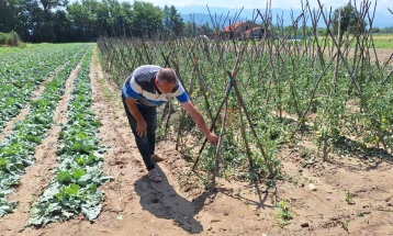 Невремето го уништи целото земјоделско производство во Сиричино