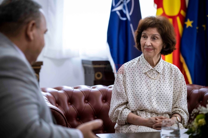 Presidentja Siljanovska Davkova në takim me përfaqësuesin e përhershëm të UNDP-së