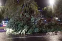 Пријави за поплавени подруми, паднати дрвја, оштетени автомобили по невремето во скопско и тетовско