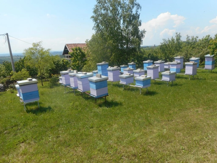 Турската агенција за соработка и координација - ТИКА ќе додели пчеларска опрема на 30 семејства