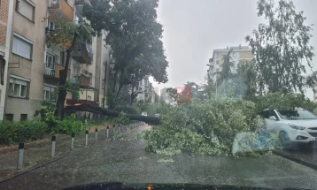 Pas stuhisë së djeshme, raportime të reja për makina të dëmtuara në Shkup, rrëshqitje të dheut afër fshatit Drenovë