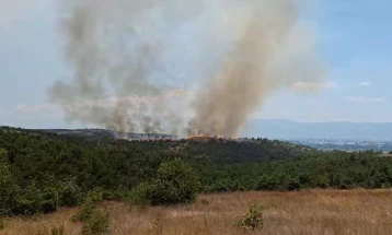 QMK: Zjarri afër Vasilevës po përhapet drejt fshatrave Sushevë dhe Zleovë