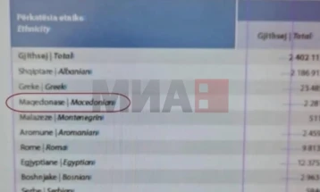 ИНСТАТ ја коригираше грешката, на прегледот за пописните резултати напиша Македонци