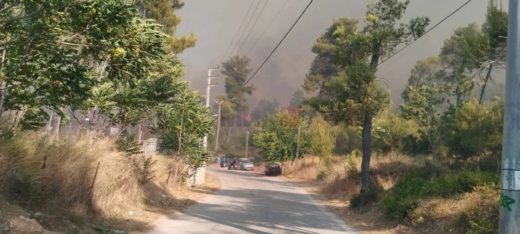 Активни два големи пожари во близина на Атина, евакуирани жители на населени места