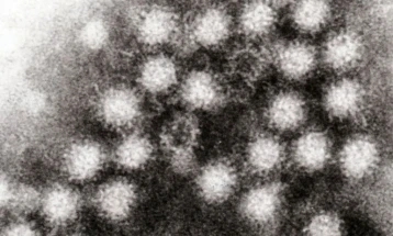 Над 900 луѓе заразени со норовирусот во северна Италија