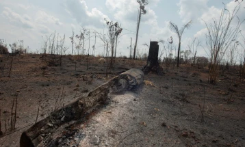 За шест месеци во Амазонската прашума регистрирани рекордни 13.489 пожари