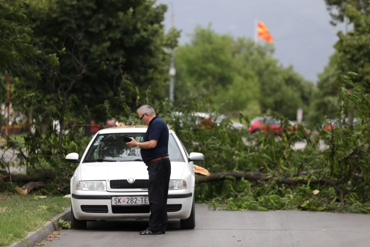 Паднати дрвја, оштетени возила и кровови, откачени кабли од бандери од силниот ветер во Скопје