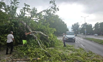 Општина Аеродром: Доколку граѓаните забележат паднати дрвја врз автомобили или други објекти, да пријават во полиција