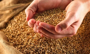 Трипуновски: Агенцијата за стокови резерви ќе набави 15 илјади тони пченица исклучиво од македонско производство