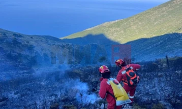 Голем број пожари во Албанија, властите апелираат на внимателност и предупредуваат на високата затворска казна за потпалувачите