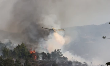 ЕУ испраќа авиони за помош во гаснењето на шумските пожари во Албанија 