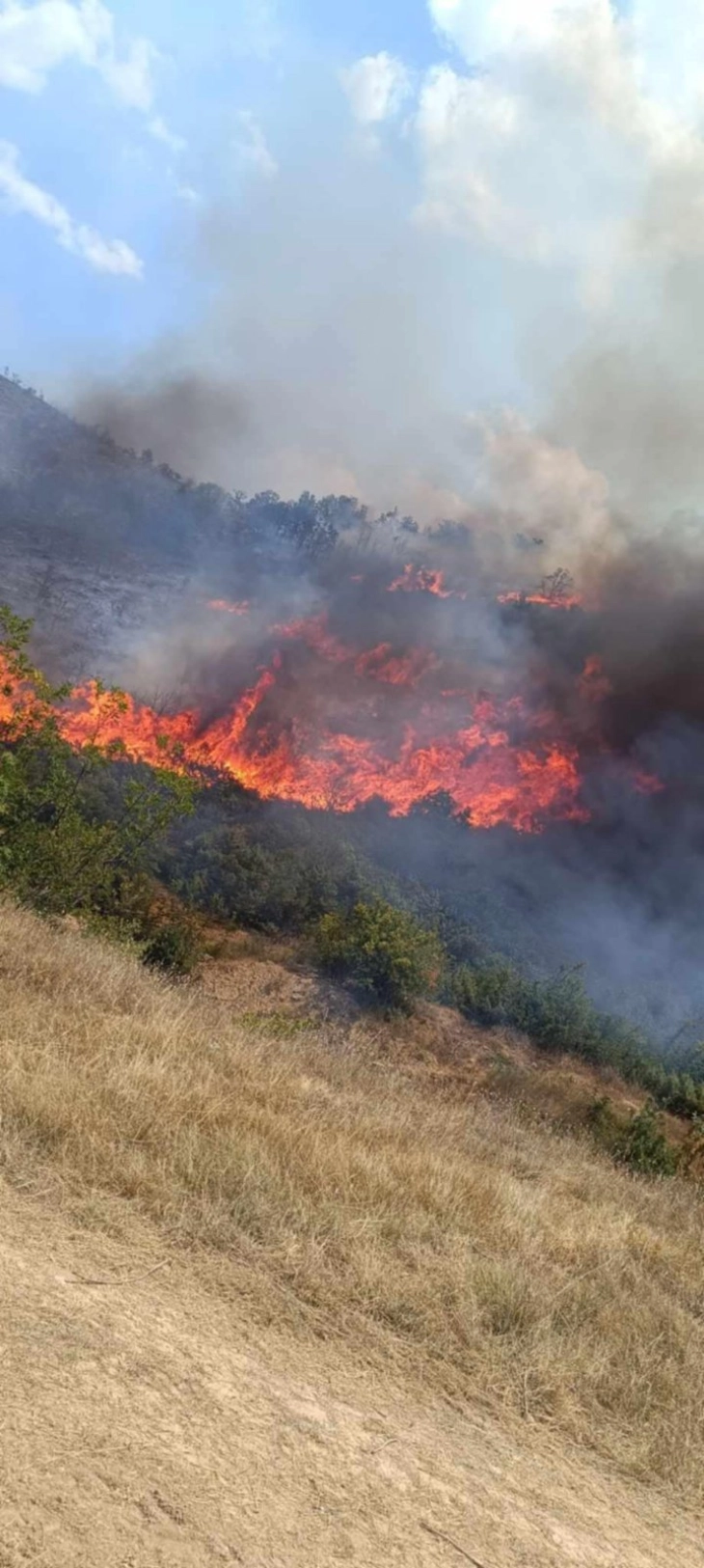 Пожар кај  Пепелиште се шири кон планина Серта, од Општина Неготино има барање за асистенција од хеликоптер