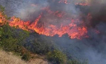 Пожар кај  Пепелиште се шири кон планина Серта, од Општина Неготино има барање за асистенција од хеликоптер