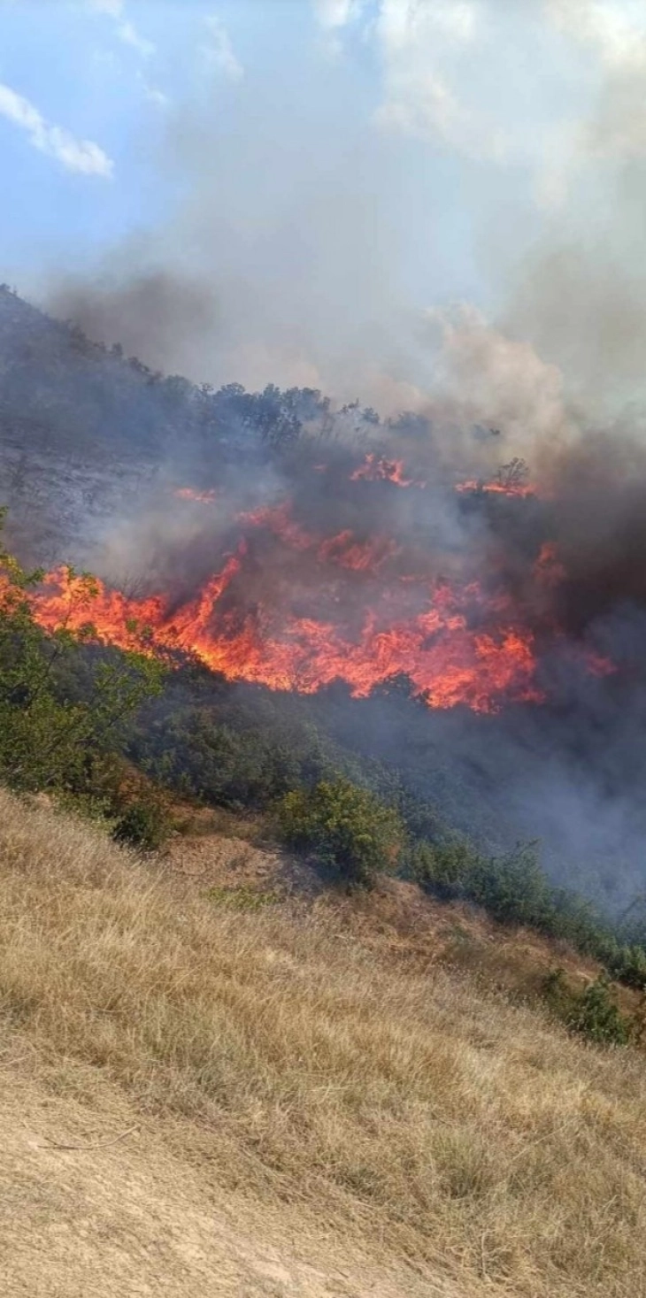 Во пожарот кај Пепелиште зафатени околу триста хектари