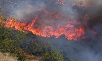 Во пожарот кај Пепелиште зафатени околу триста хектари