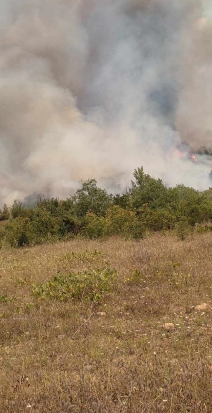 Кавадаречки пожарникари заминаа да помогнат при гаснење на пожарот во Неготинско