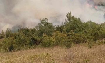 Кавадаречки пожарникари заминаа да помогнат при гаснење на пожарот во Неготинско