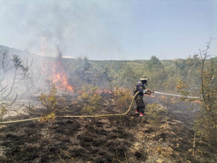 Закажана вонредна седница на Советот на Неготино поради пожарот на планината Серта 