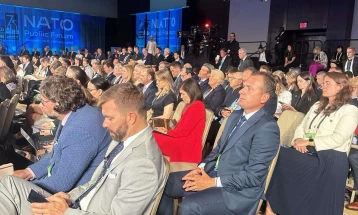 Пратеникот Миле Талевски учествува на НАТО јавен форум во Вашингтон