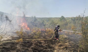 Неготино со апел до сите што сакаат да помогнат во гаснење на пожарот да се пријават во Општината 