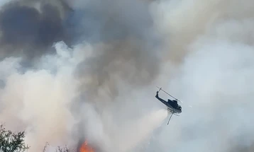 Zjarri në rrethinën e Negotinës aktiv, pritet të intervenojë një helikopter i Armatës