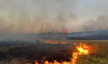Армиски хеликоптер се вклучи во гаснењето на пожарот во Неготинско 