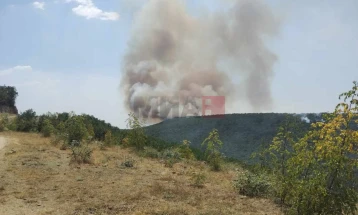 Од воздух се гаси пожарот на планината Серта во штипскиот регион