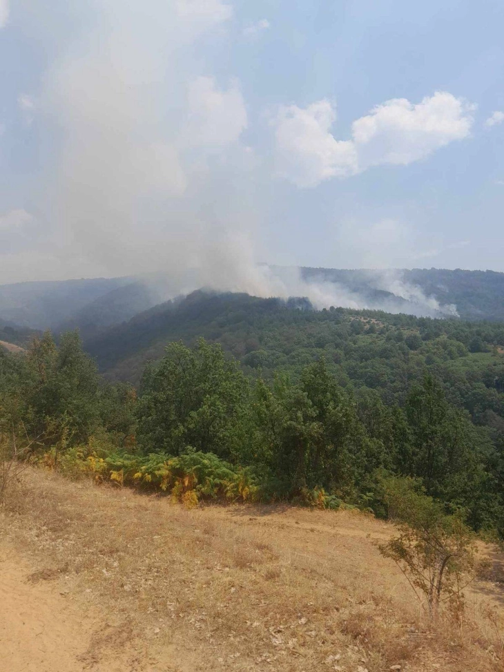 Се очекува „Ер трактори“ да се вклучат во гаснењето на пожарот на планината Огражден, на границата со Бугарија