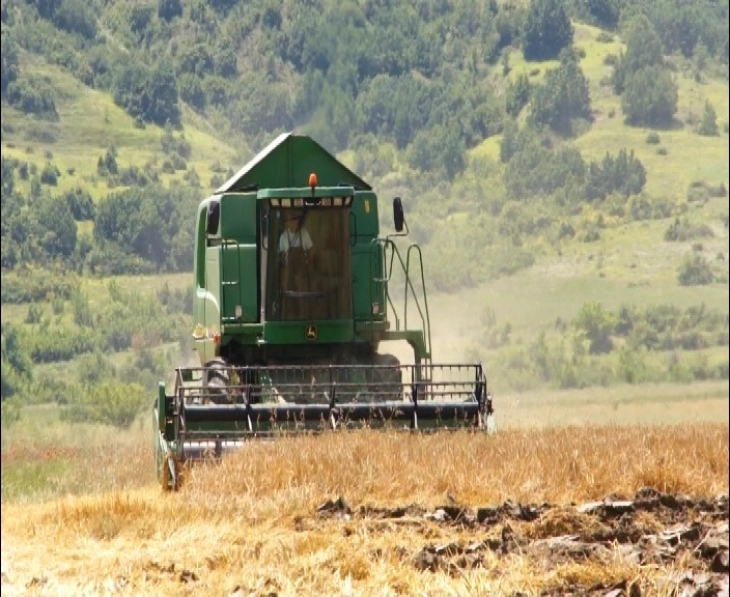 Karakashev: Çmimi prodhues i grurit kushton më pak se 14 denarë, nuk jemi të kënaqur