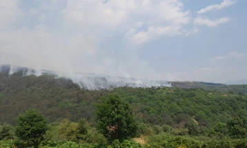 Активни пожари во неколку региони од земјава, само во јули 173 пожари од пошироки размери