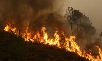 Затворен за сообраќај регионалниот пат Штип-Неготино поради пожарот на планината Серта