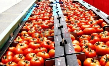 Здравствените придобивки од доматот