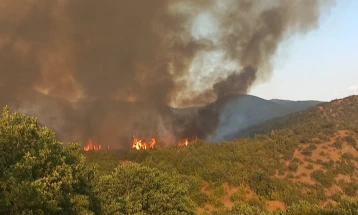 Пожарот на Серта смирен,  гори на неколку мали локации, вели градоначалникот на Неготино 