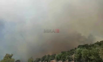 Кикиљас: Поради високите температури, сушата и силниот ветер голема е опасноста од пожари во Грција