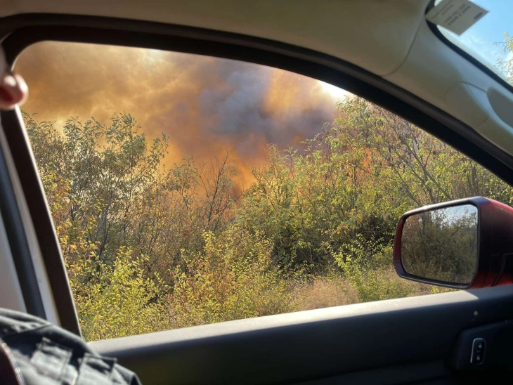 Ангелов: Најсериозен е пожарот на Серта, шумскиот пожар над Радовиш влезе во борова шума