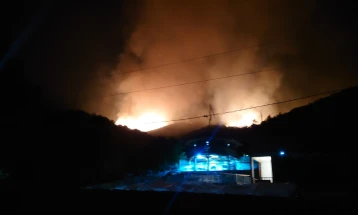 Големиот шумски пожар над Радовиш се приближува до викенд населба