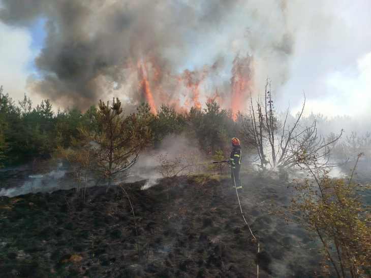 Bitola brushfire still not under control