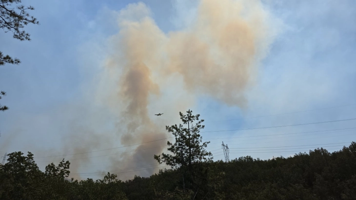 Со четири хеликоптери и ер трактори се гасне пожарот на планината Серта од неготинска страна 
