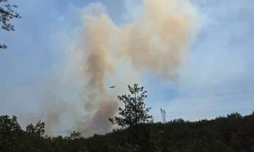 Со четири хеликоптери и ер трактори се гасне пожарот на планината Серта од неготинска страна 