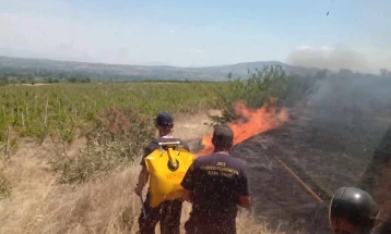 Противпожарна Кавадарци со апел за внимателност, при палење меѓи на ниви се предизвикуваат пожари