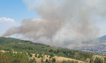 Пожарот над Битола повторно активен