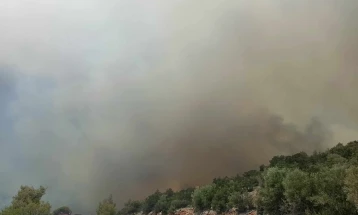 Wildfires close Peplishte section of Negotino–Shtip road