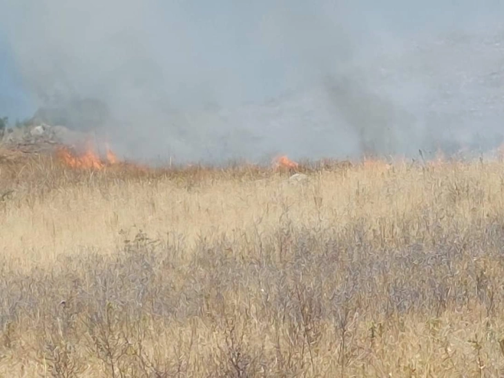 Пожар во росоманското село Сирково 