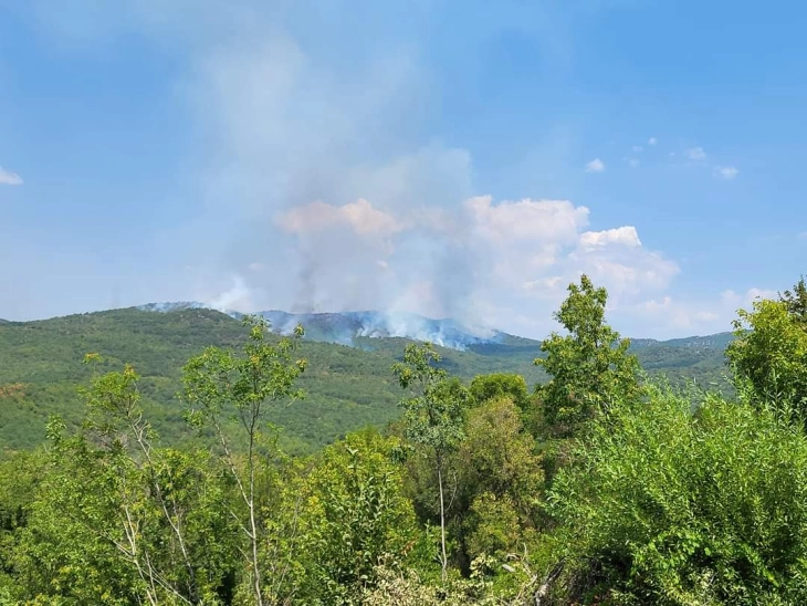Стојанов : Борбата за справување со огнената стихија на Серта продолжува и денеска 