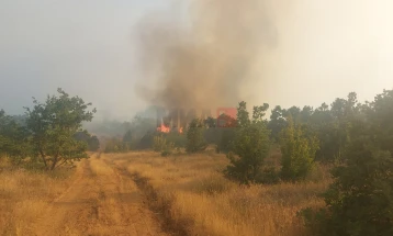 Пожарот во штипскиот дел на Серта се шири кон селото Пиперово