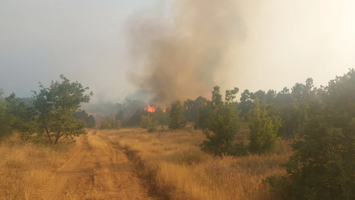 Zjarri në pjesën e Shtipit në Sertë po përhapet drejt fshatit Piperovë